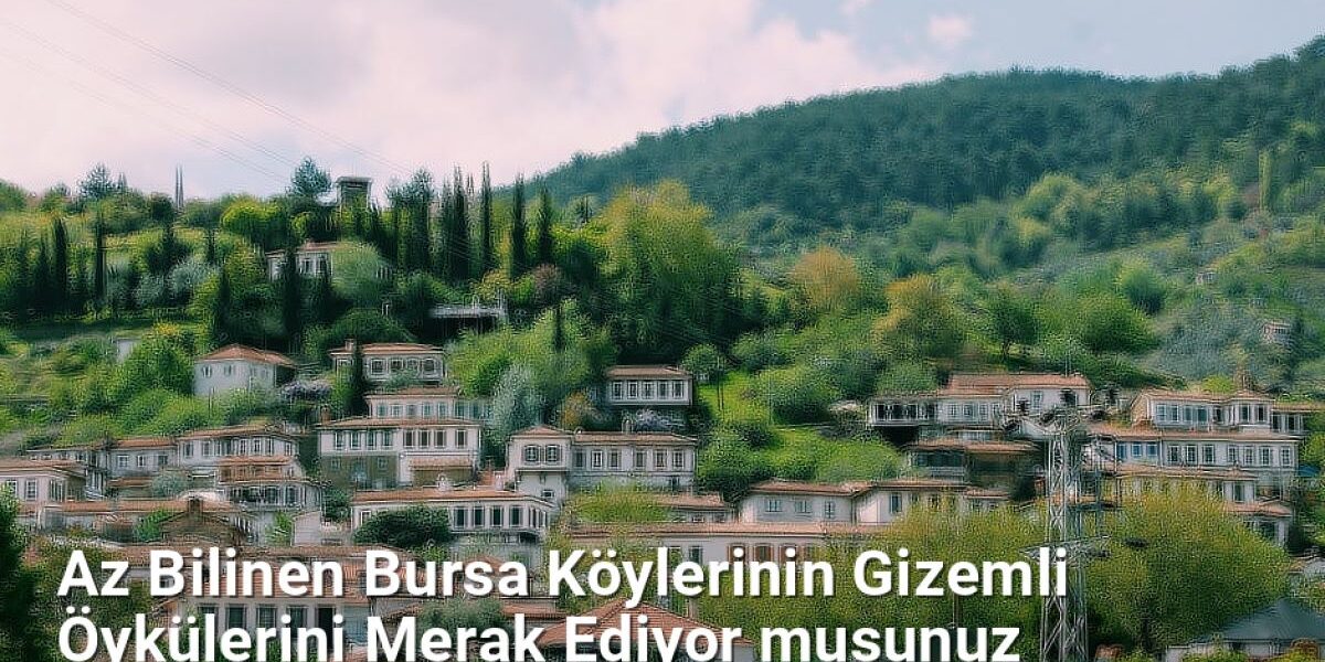 Az Bilinen Bursa Köylerinin Gizemli Öykülerini Merak Ediyor musunuz - bursakoyleri.net.tc
