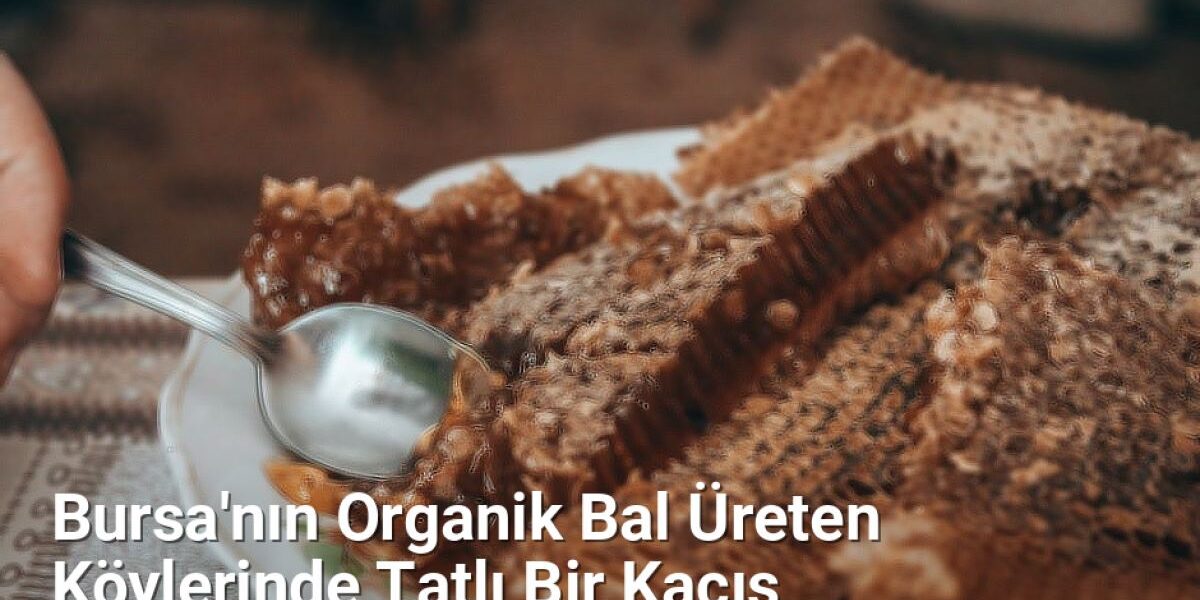 Bursa'nın Organik Bal Üreten Köylerinde Tatlı Bir Kaçış - bursakoyleri.net.tc
