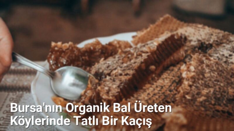 Bursa'nın Organik Bal Üreten Köylerinde Tatlı Bir Kaçış - bursakoyleri.net.tc