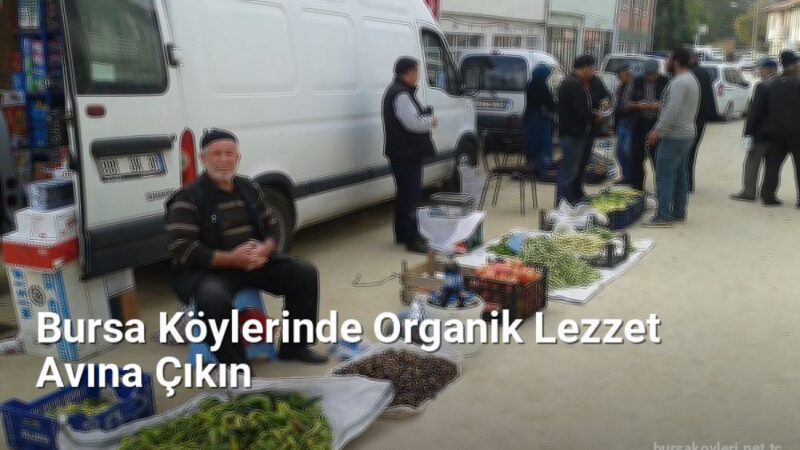 Bursa Köylerinde Organik Lezzet Avına Çıkın - bursakoyleri.net.tc