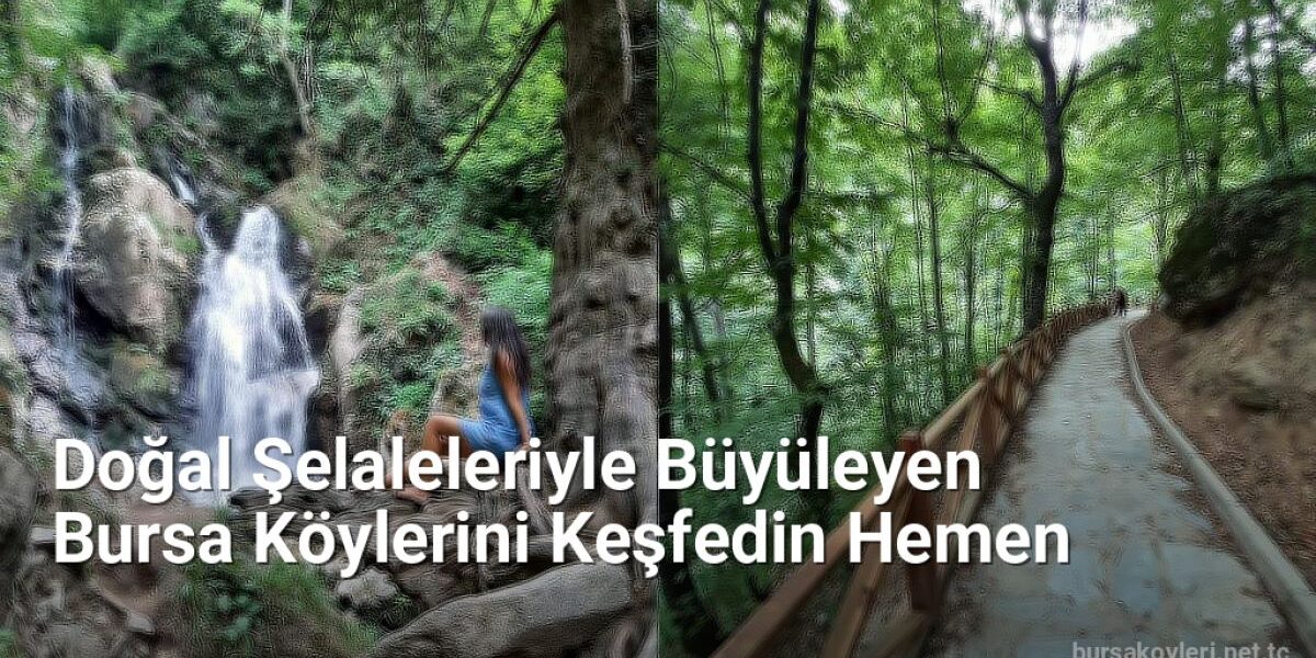 Doğal Şelaleleriyle Büyüleyen Bursa Köylerini Keşfedin Hemen - bursakoyleri.net.tc