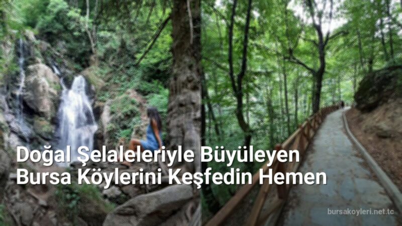 Doğal Şelaleleriyle Büyüleyen Bursa Köylerini Keşfedin Hemen - bursakoyleri.net.tc