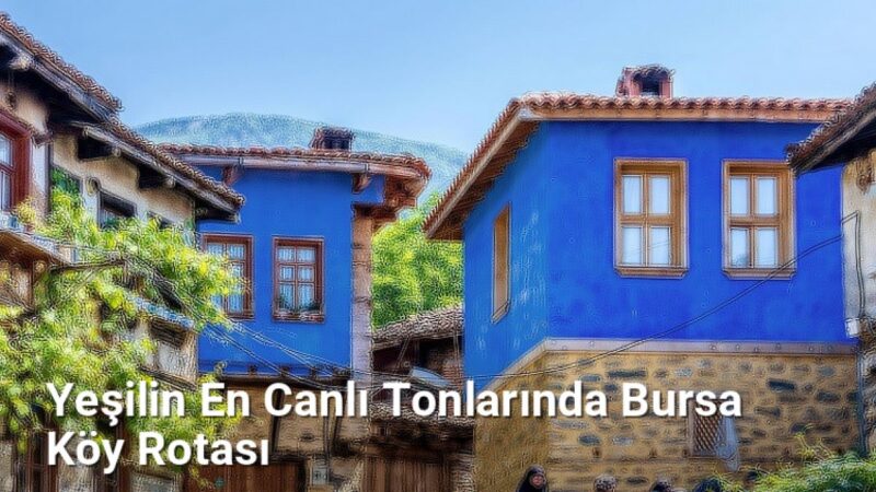 Yeşilin En Canlı Tonlarında Bursa Köy Rotası - bursakoyleri.net.tc