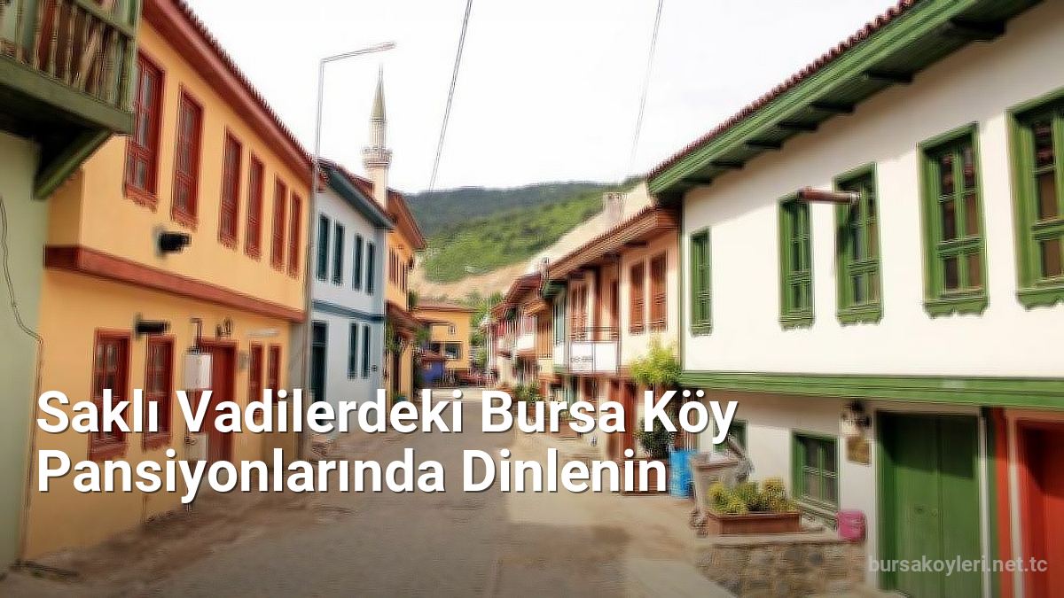 Saklı Vadilerdeki Bursa Köy Pansiyonlarında Dinlenin - bursakoyleri.net.tc