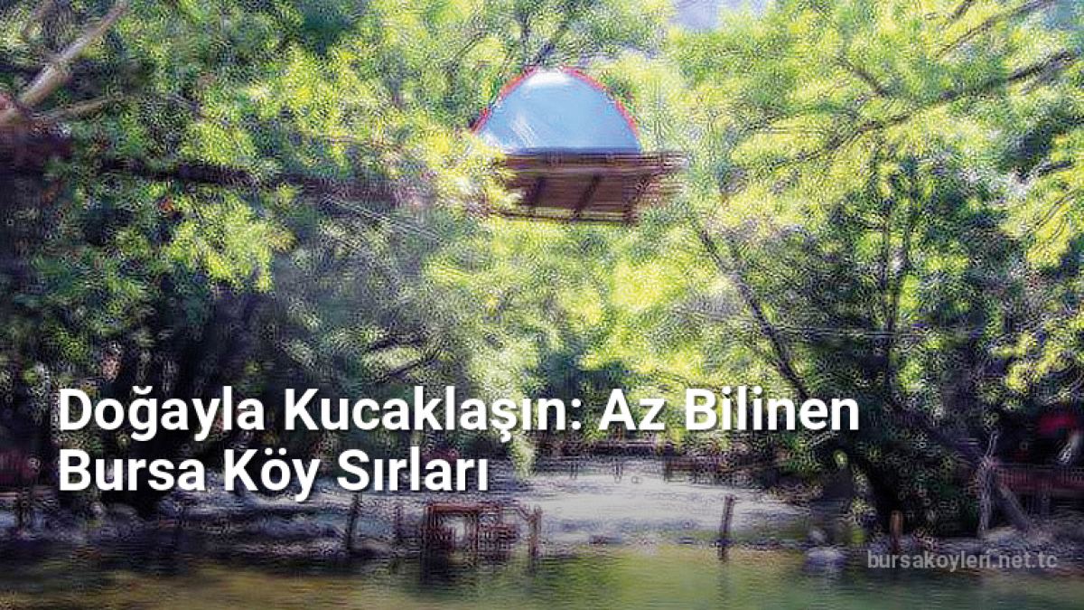 Doğayla Kucaklaşın: Az Bilinen Bursa Köy Sırları - bursakoyleri.net.tc