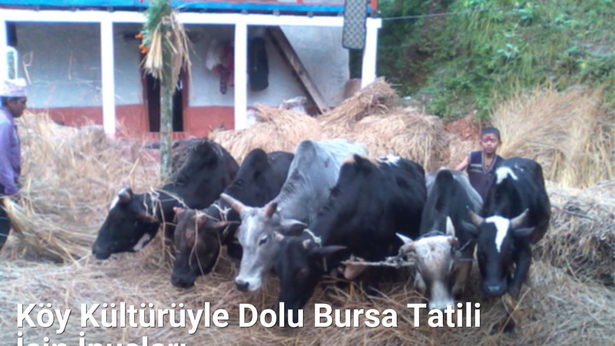 Köy Kültürüyle Dolu Bursa Tatili İçin İpuçları - bursakoyleri.net.tc