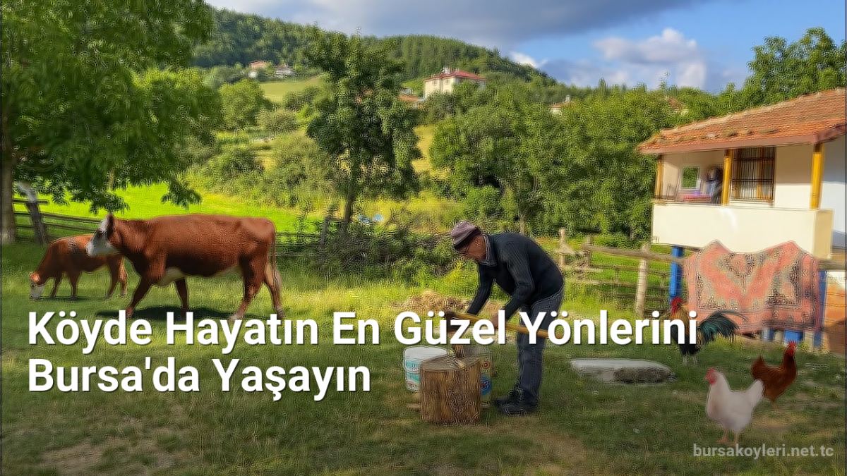 Köyde Hayatın En Güzel Yönlerini Bursa'da Yaşayın - bursakoyleri.net.tc